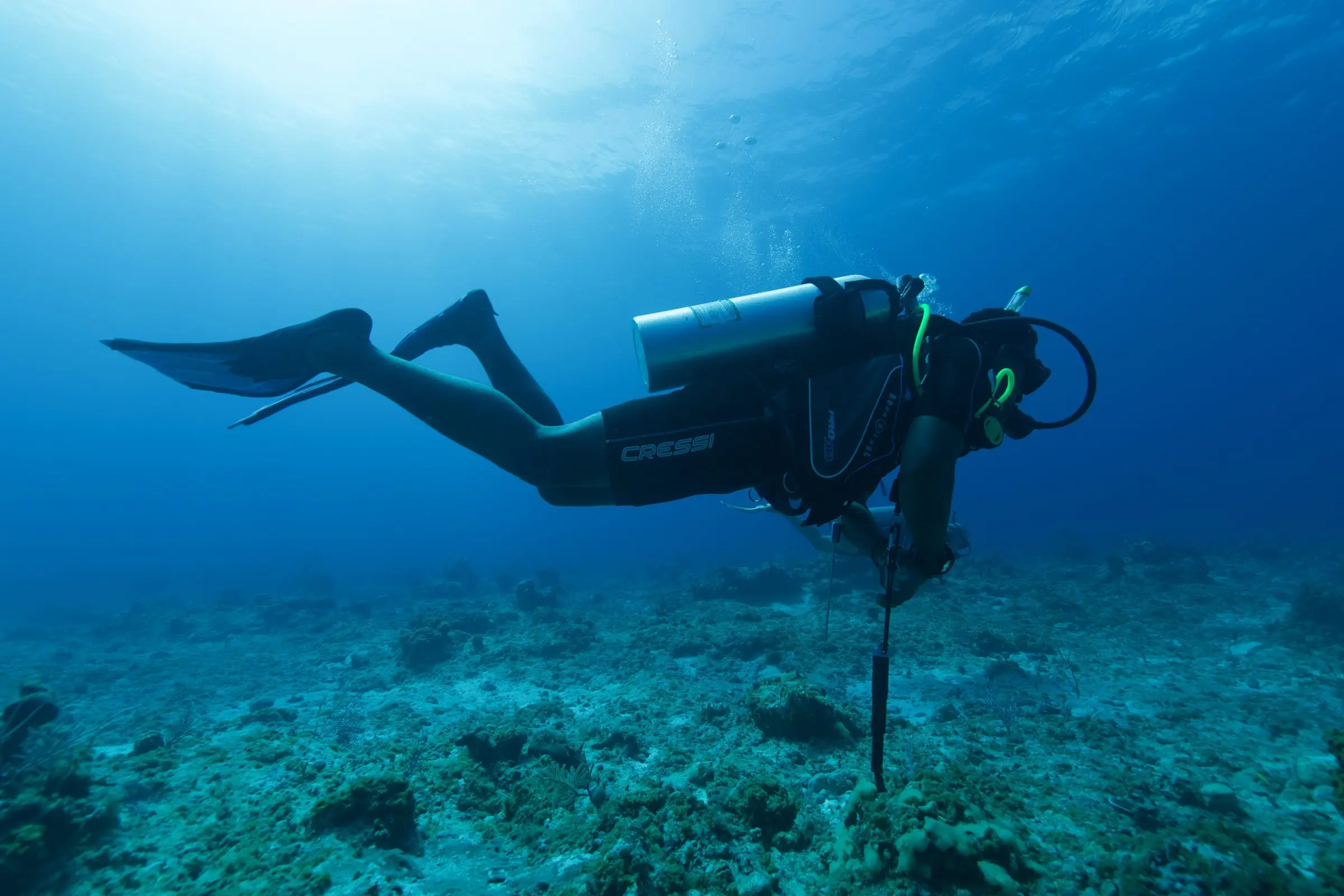 A scuba diver over a coral reef off West Caicos