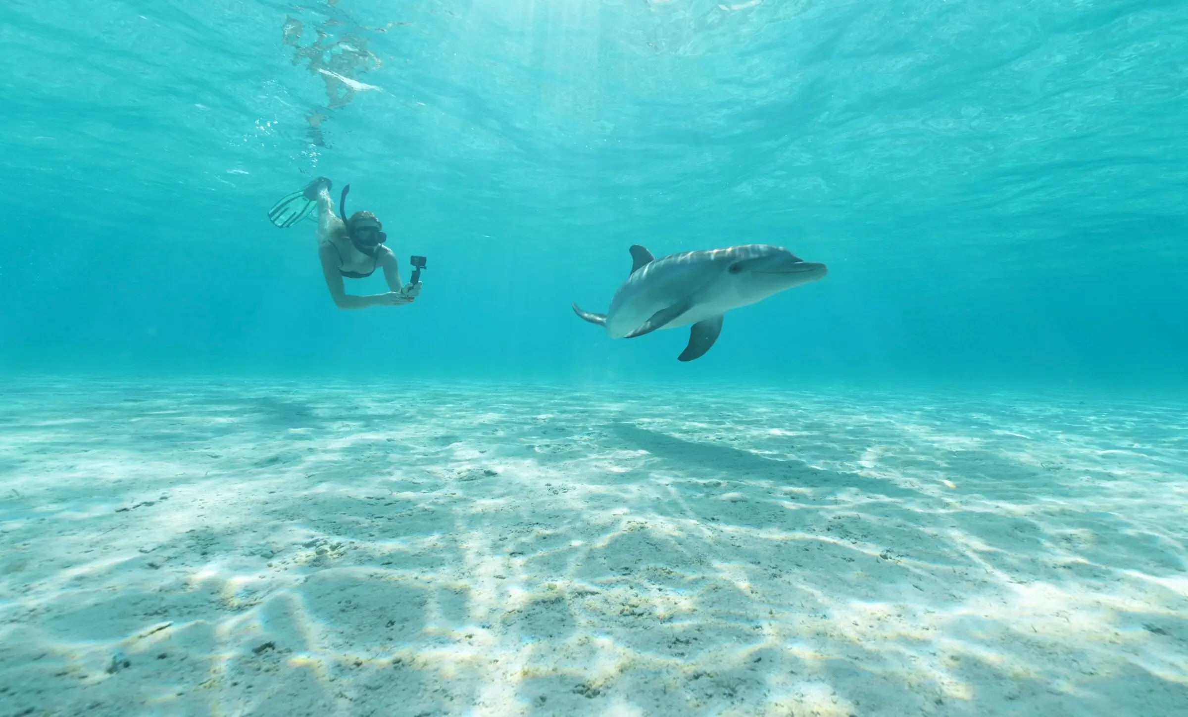 Snorkeler swimming with a dolphin