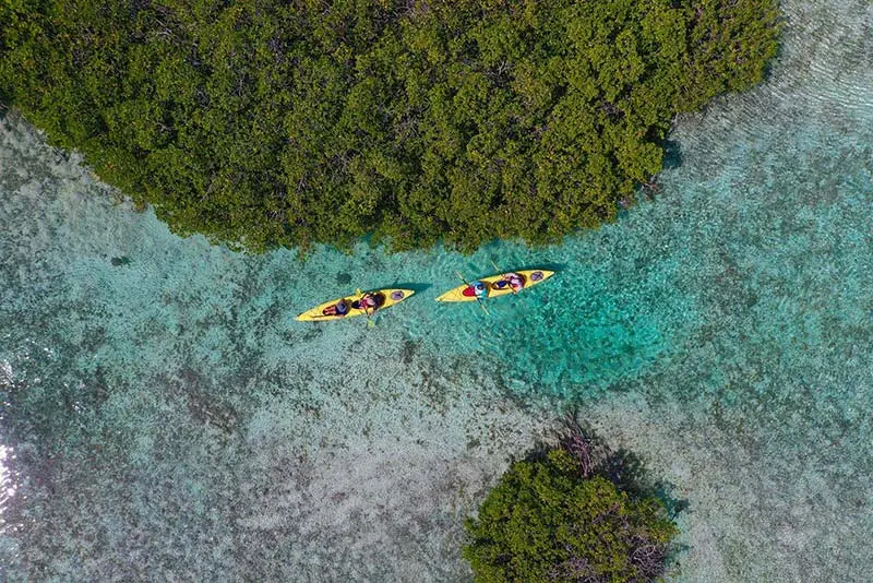 Kayaks in a mangrove channel seen from above