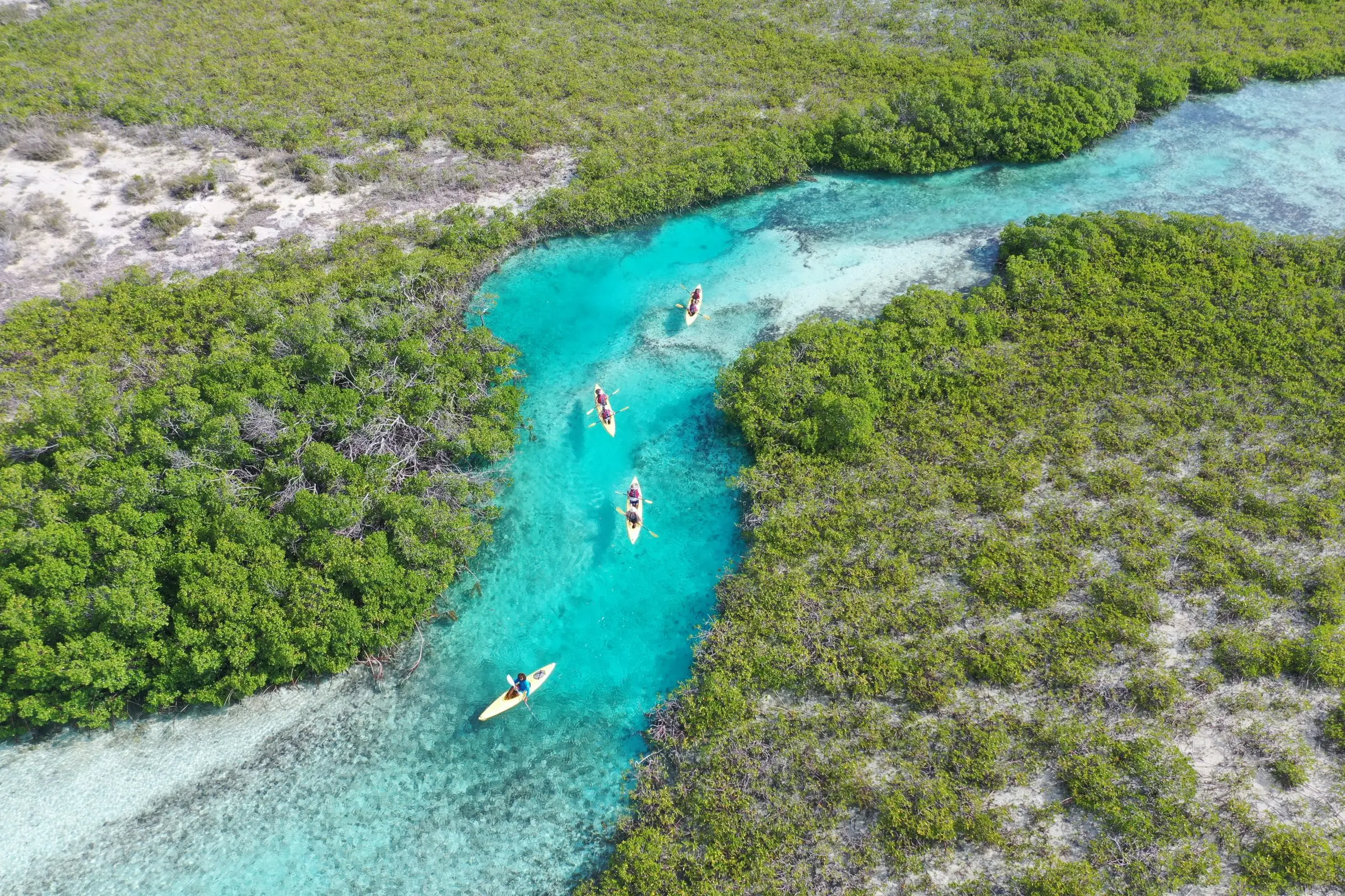 Aerial view of kayaks winding through a turquoise mangrove channel